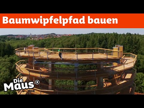 Spazieren zwischen Baumkronen  - So wird ein Baumwipfelpfad gebaut | DieMaus | WDR