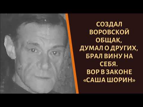 Саши шорина. Саши шорина. Саши шорина. Саши шорина. Саши шорина.