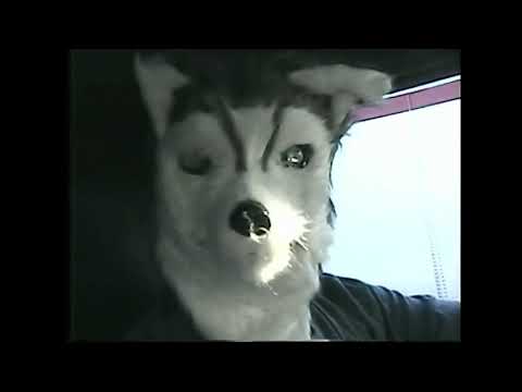 Baby FuzZ - Coyote (Official Music Video)