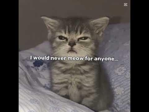 🎀💅🏻❤️🗿