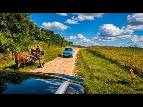 Rumbo a un sitio donde la NATURALEZA puede ser perfecta | Pinar del Río 