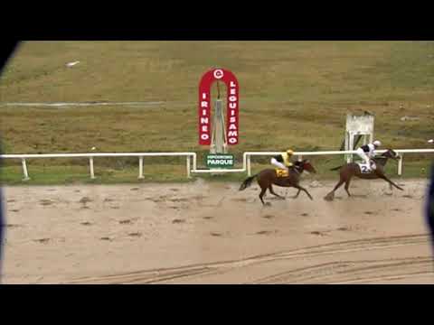 09/08/2019 – Hipodromo Florida – Carr 1 – "HUMMER"- 1º GANADOR DEL SINT EN FLORIDA