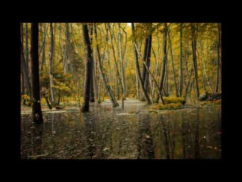 Thommy Davis - Acid Love