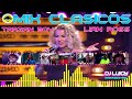 MIX CLASICOS TARZAN LIAN ROSE DJ LUIGY GALAMIXER