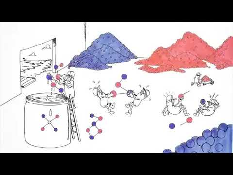 ¿Qué es y cómo funciona el redox en nuestro cuerpo?