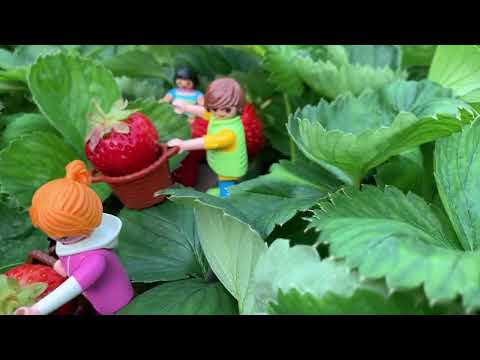 IGW 2022 online - Samtgemeinde Ostheide