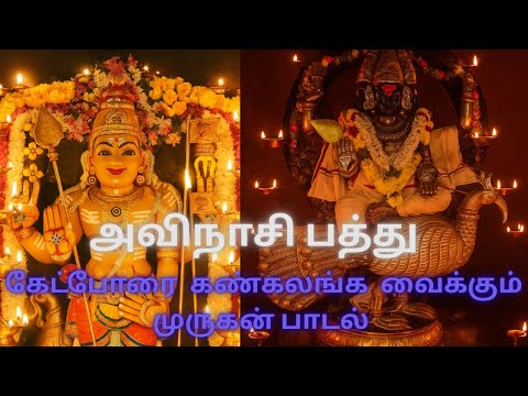 #அவிநாசி பத்து#வற்றாது பொய்கை வளநாடு கண்டு முருகன் பாடல்#avinashi  pathu murugansongs#devotionalsong