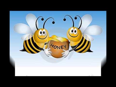 Honeycomb -  Jimmie Rodgers -  My Vocal Interpretation