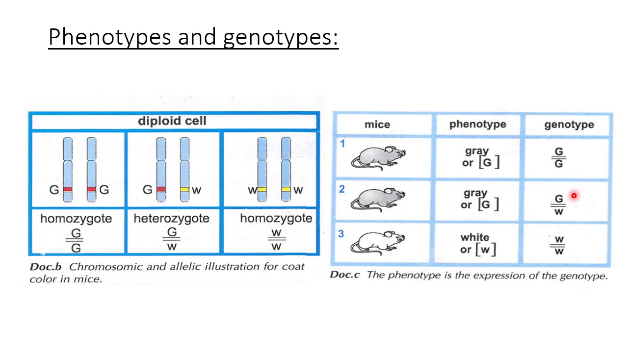 LS Chapter 2 document 1