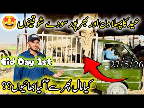Eid Day 1st At Northern Bypass Mandi Karachi Latest Rates Update | 27 May 2026 | Cow Mandi Karachi. 