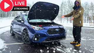 🔴 washing rich people’s cars.. (Day 14/30 Live Challenge)