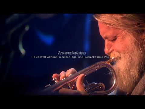 Robert Wyatt Coronet Solo