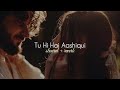 Tu Hi Hai Aashiqui Slowed Reverb