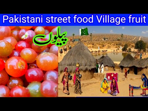 پیلوں Pakistan street food | Cholistani fruit گاؤں کا پھل | دیہات کا فروٹ | pak India border zreo li