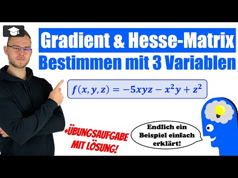 Gradient und Hesse Matrix bestimmen mit 2 Variablen erklärt