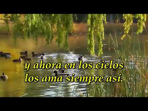 599 En este bello día