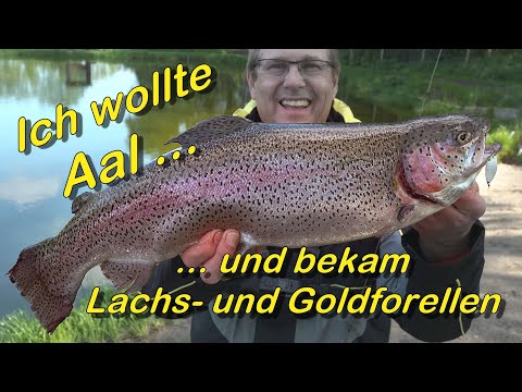 I wanted eel - and got trout.