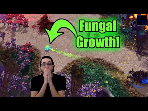 Did Solar solve the GHOST PROBLEM? (vs Oliveira) | StarCraft 2 SC2 Highlight Pro Match Zerg Terran