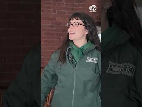 Tarrytown Lighthouse Tours Return: A Community Triumph