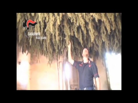 A Cortina d'Ampezzo si fumava "erba" calabrese