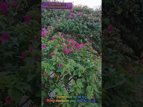 TUMAHAN KA NA BY NOVEN BELLEZA LYRICS