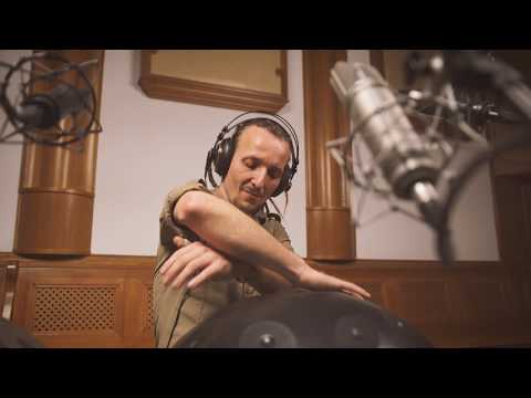 Tosoda Projekt - Gato Negro