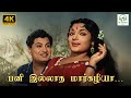 Paniyillatha Margazhiya Anandha Jodhi TM Soundararajan P Susheela Kannadasan 4K Video Song