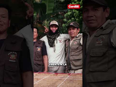 Más de 6,500 taricayas fueron liberadas en el Parque Nacional Sierra del Divisor, Ucayali y Loreto.