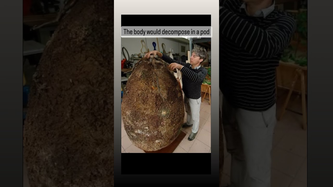 Would you bury yourself or a loved one in a pod to feed a tree as you decompose? #funeral