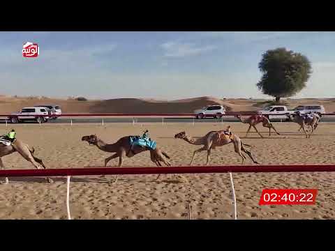  ش 9 (معزة) لـ سيف سالم نايلي الشامسي 8:00 , شارة الديوان 2025/12/11 لقايا اللبسه  