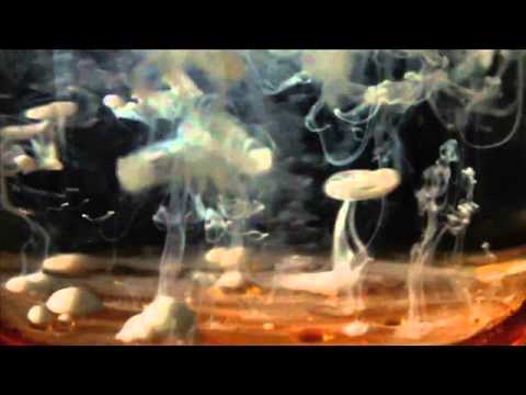 MICsztain x Bushu - Kwaśna Terapia #TRIP HOP1 (SPONTAN LO-FI)