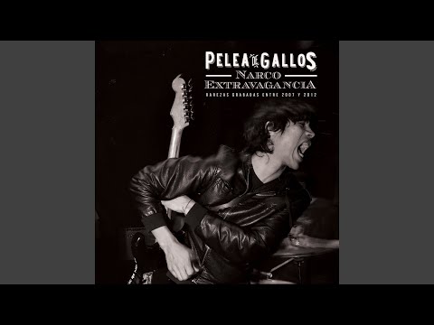 Decido - Pelea de Gallos