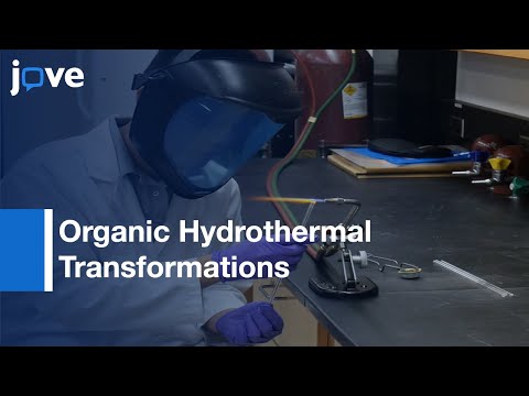 Mineral Effects on Organic Hydrothermal Transformations | Protocol Preview
