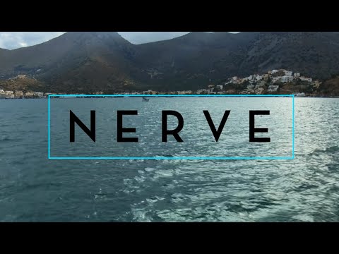 Nerve (Viral Video 'Do You Have the NERVE?')