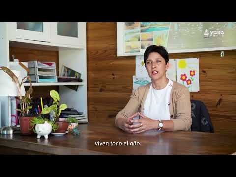 Barrio privado El Quijote