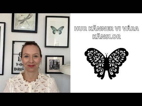 Hur känner vi våra känslor