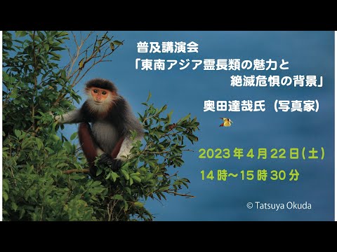 霊長類は絶滅の危機に瀕していますか?