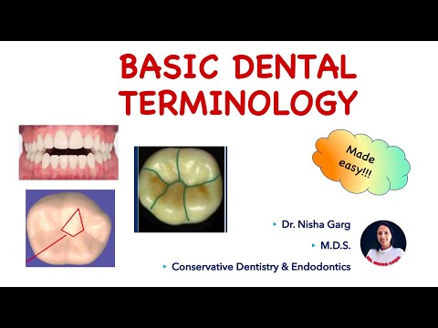 BASIC DENTAL TERMINOLOGY | PART 2 | MADE EASY