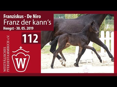 112 Franz der kann‘s Hengst v. Franziskus - De Niro