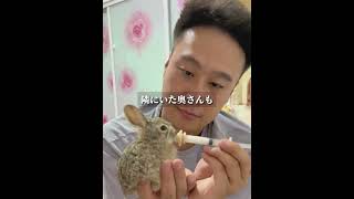 これはどんな種類のウサギですか？ #自然 #動物プロダクション #癒し #animals #動物