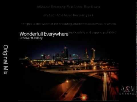 Wonderful Everywhere (Dr. Shiver ft. Il Robi)