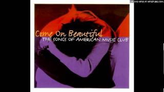 Willard Grant Conspiracy - Will You Find Me?