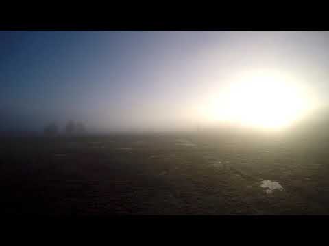 flyin above the mist.. and some alien dread-psy dub. 👽