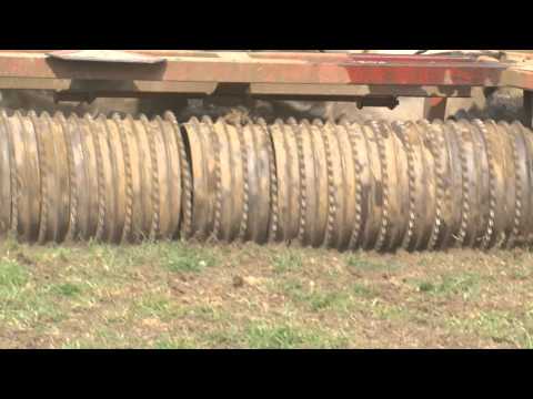 Over-Seeding - Cotswold Seeds