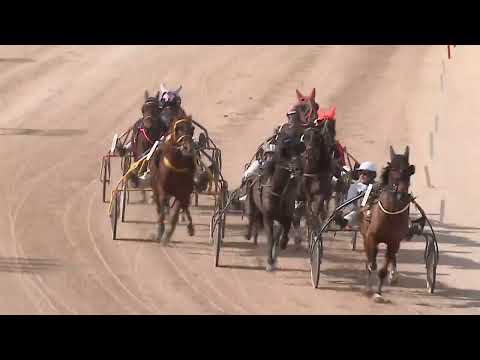 2023.03.11. 01. futam - CSAPODÁR HENDIKEP