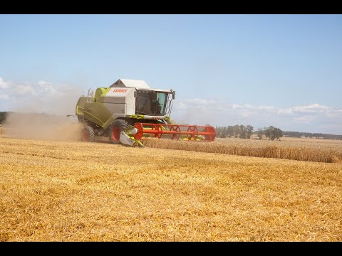 Efektywna biostymulacja upraw ozimych