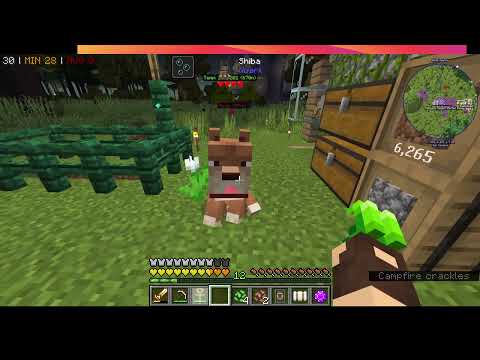 Minecraft Ragnamod VII Episode 5 Magic Mods Night and Meeting Our Pets
