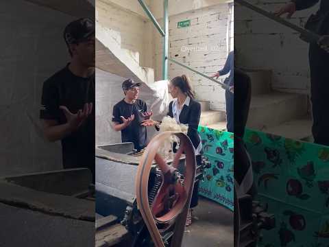 Marulanda, Caldas, un pueblo que enamora con su paisaje, su gente y su arte. 🐑