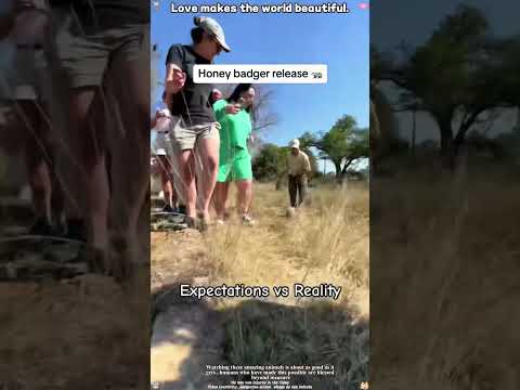 Reel tagged #animals