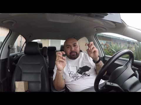 Como ser identificado como Prevenção de Perdas/Como ser um bom LP Daily Vlog